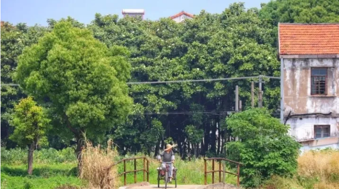 微信截图_20230208104012.png 微信截图_20230208104012.png