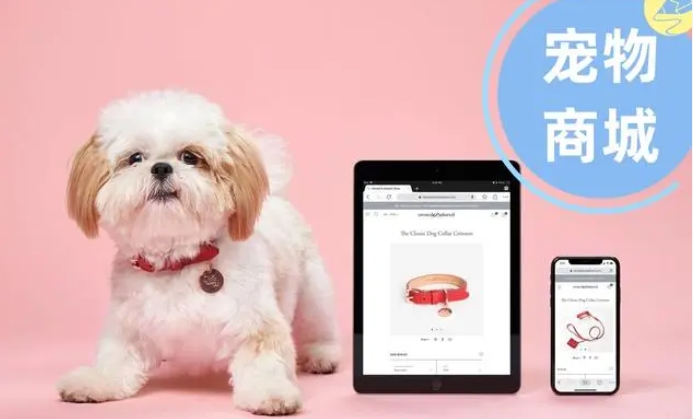 微信截图_20231121145044.jpg 微信截图_20231121145044.jpg