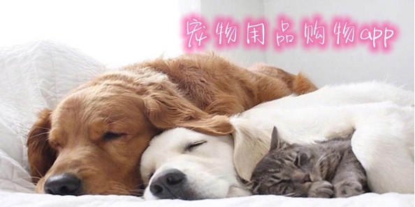 微信截图_20231121145208.jpg 微信截图_20231121145208.jpg